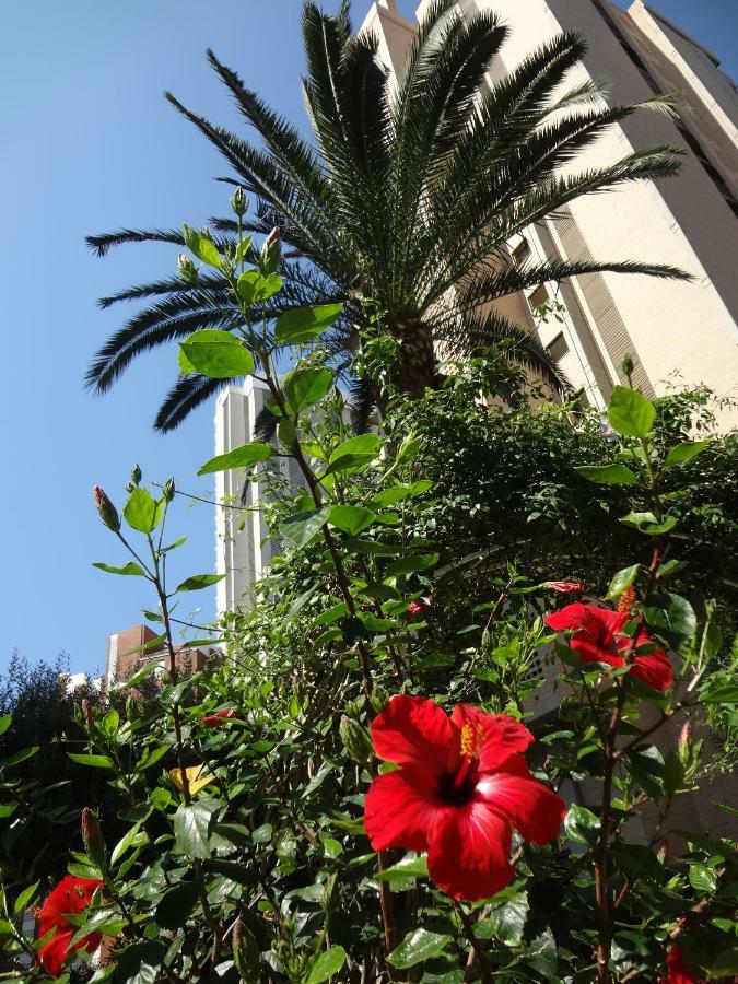 Best View - Welcome Penthouse Apartamentos Karola ベニドルム エクステリア 写真