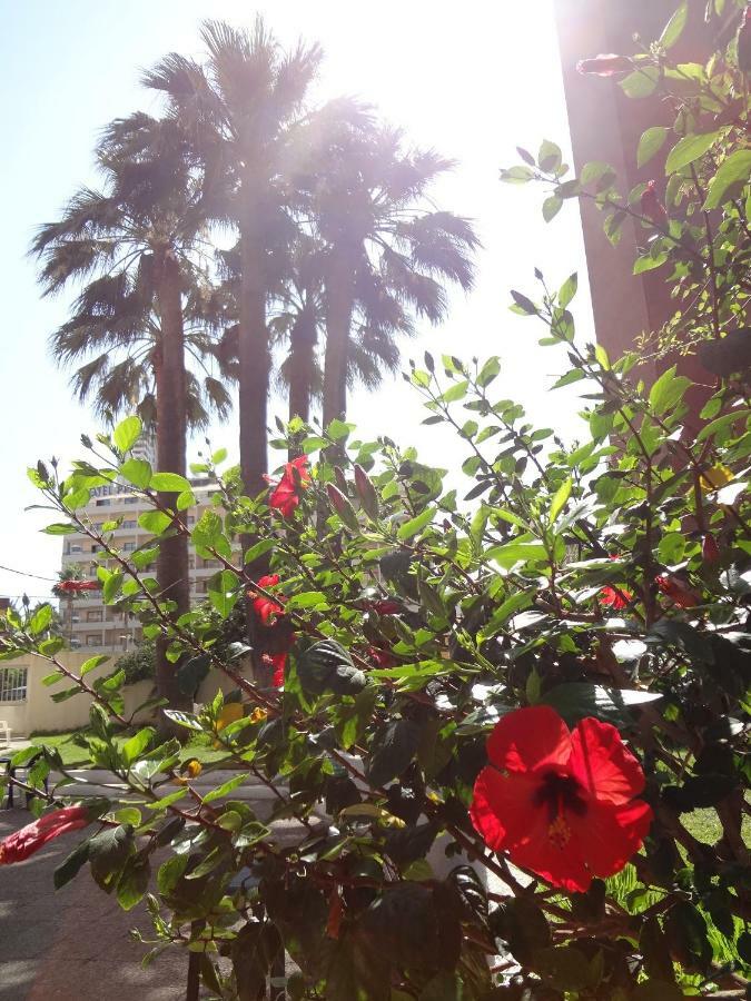 Best View - Welcome Penthouse Apartamentos Karola ベニドルム エクステリア 写真
